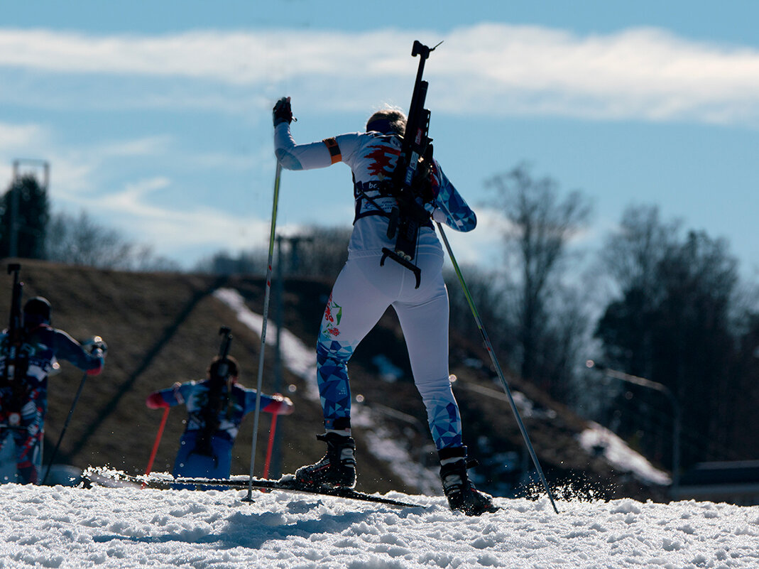 Догнать! - Алексей Смирнов