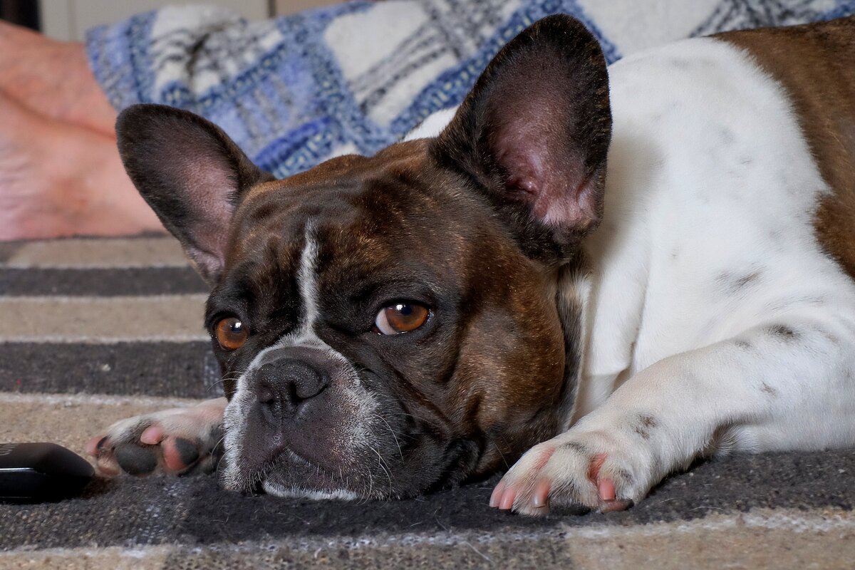 Матильда - Александр Гапоненко