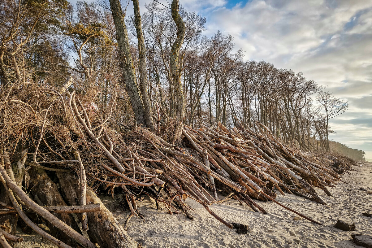 Калининградская область. Куршская коса. - Sergey 