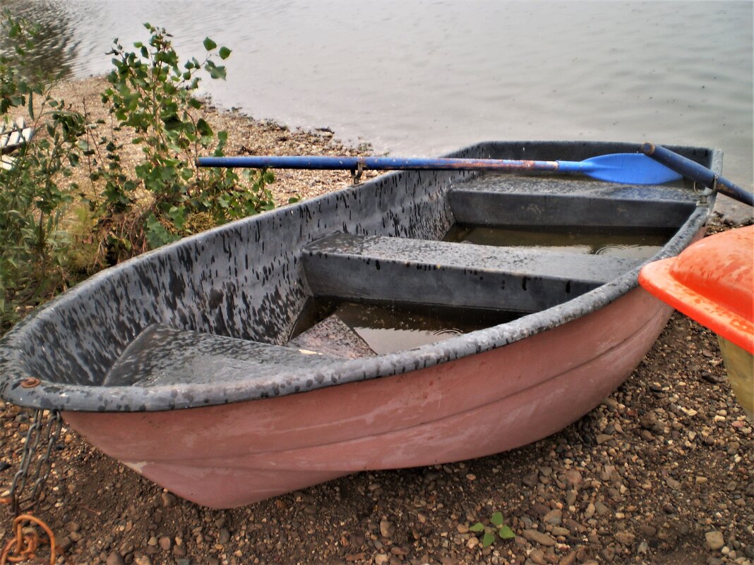 лето - Венера Чуйкова