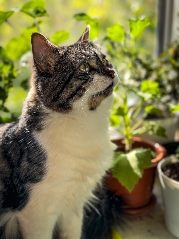 Ника - Яна Горбунова