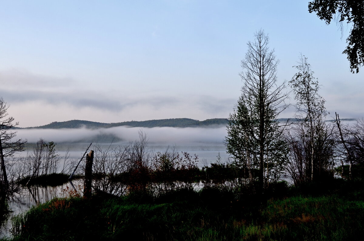 Утро на озере - Мишель71 