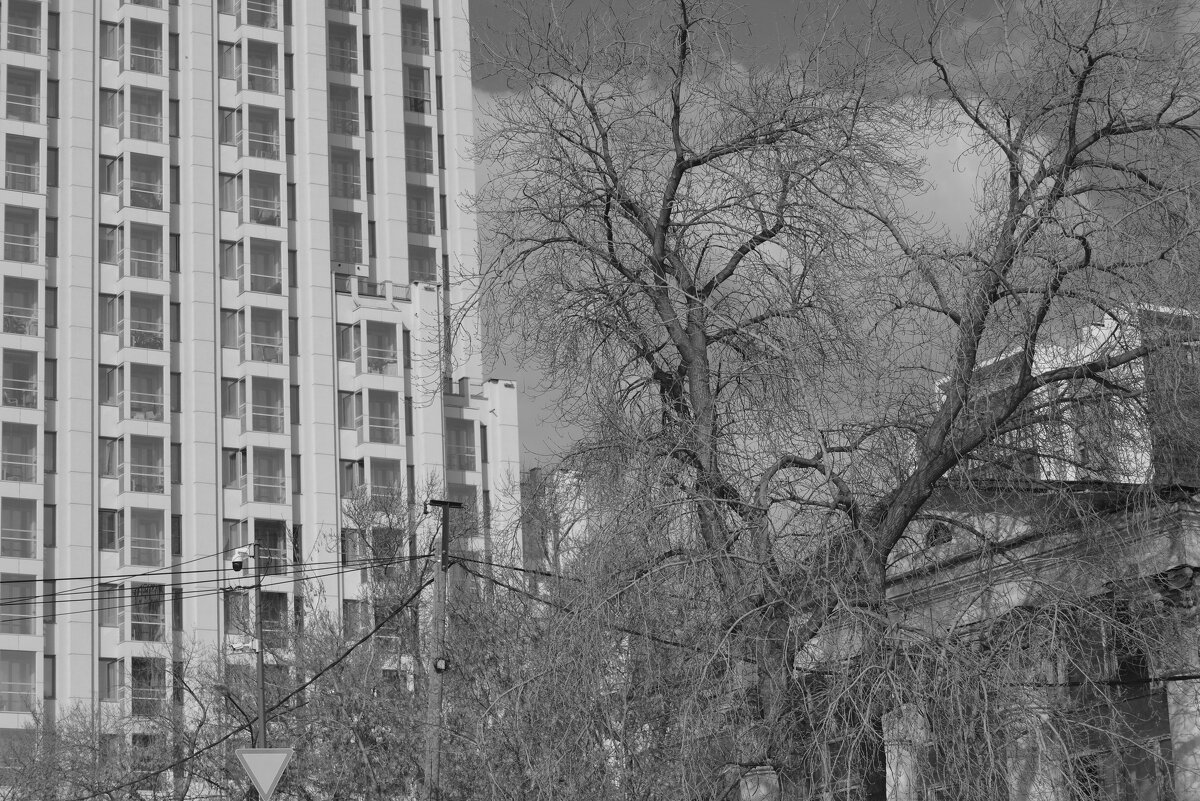 Городские контрасты - 2 - Сергей Сергеев