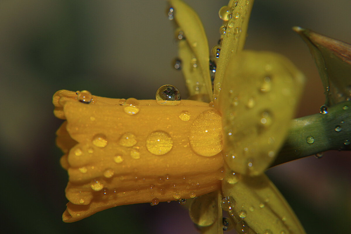 -------------- - igor G.