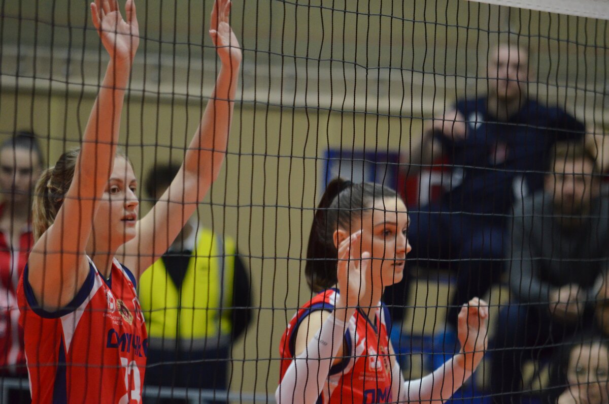 За сеткой - Savayr 