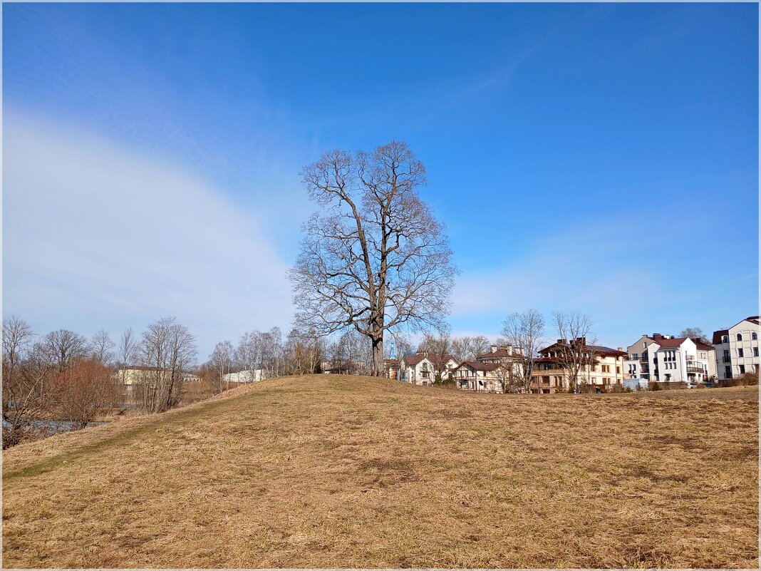 Приоратский парк. - Лия ☼