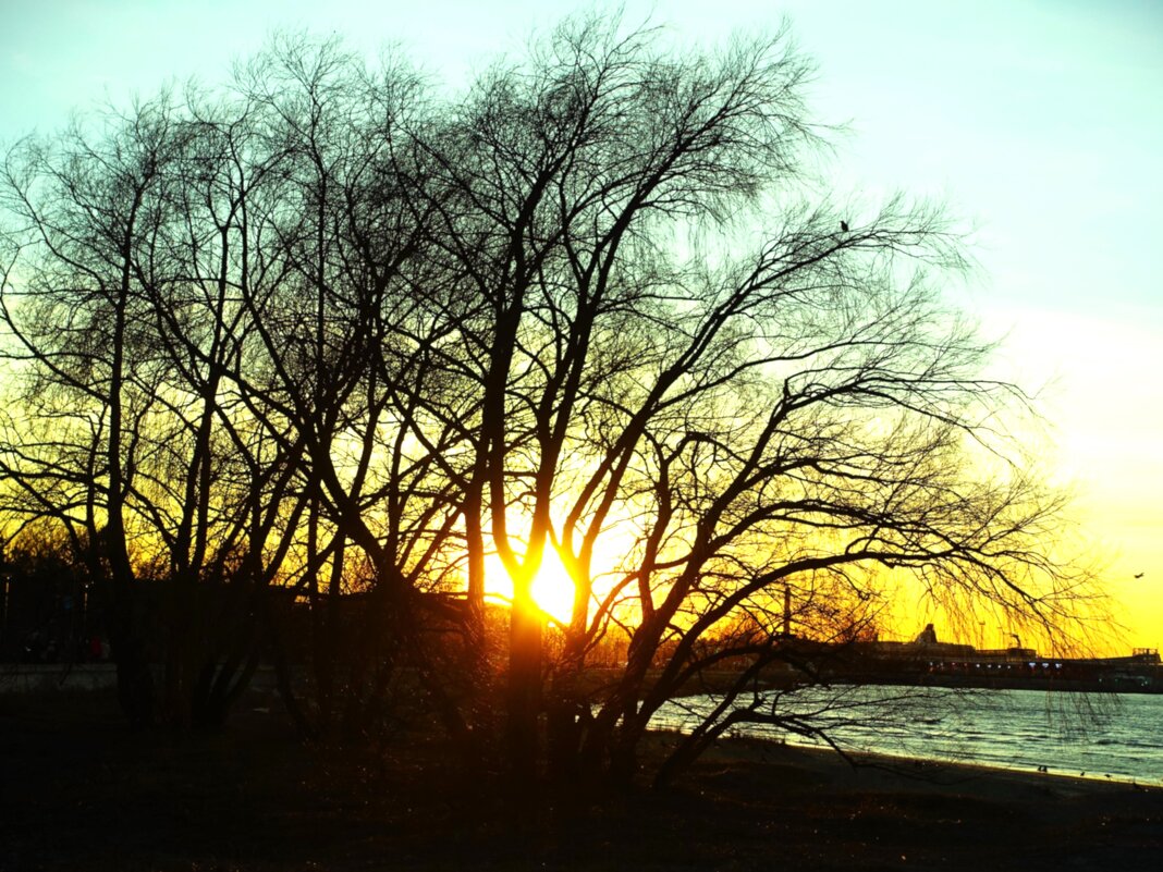 Весенний закат - Aida10 