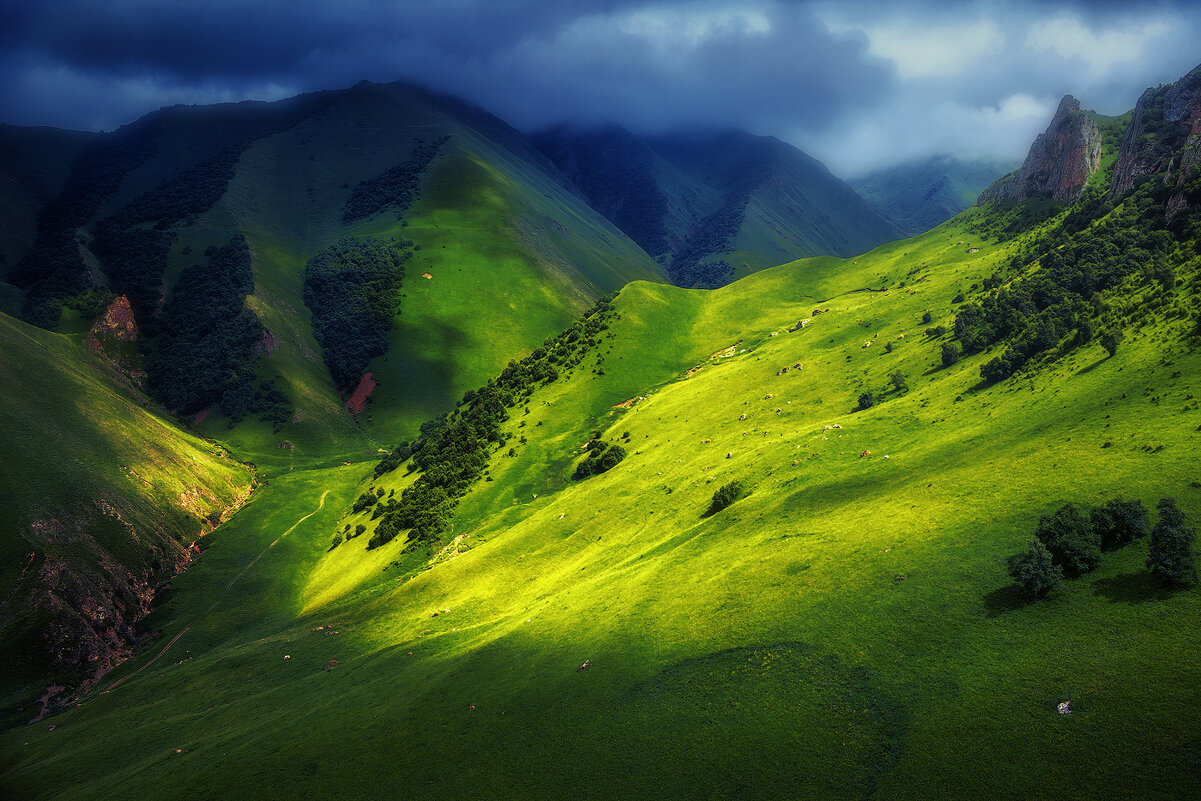 горная палитра - Сергей Попрошаев