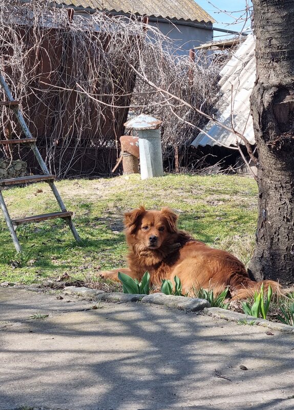 Ежеминутная служба - Наталья 