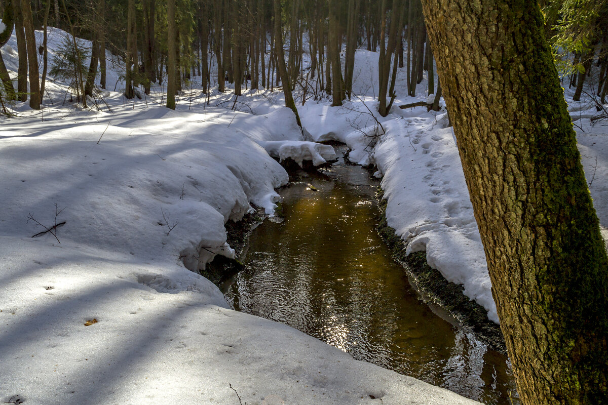 У мартовского ручья - Сергей Цветков
