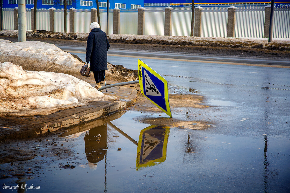 «Пешеход упал на переходе» - Алексей Трифонов