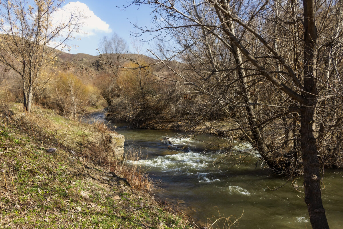 "Пришла пора сменить Зиму, в Весну влюбиться". - LudMila 