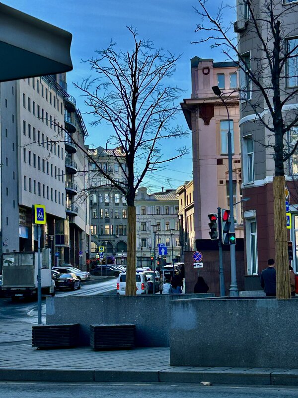 Неглинка и окрестности - Натали 