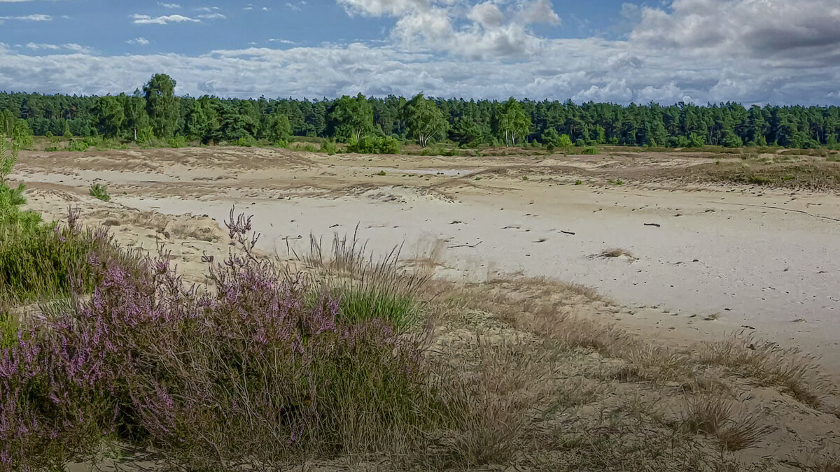Донская Сахара - Aleksey Afonin