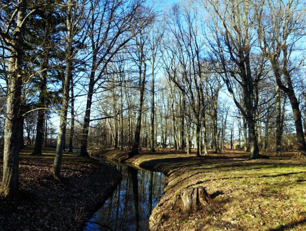 Журчат мартовские ручьи - Aida10 