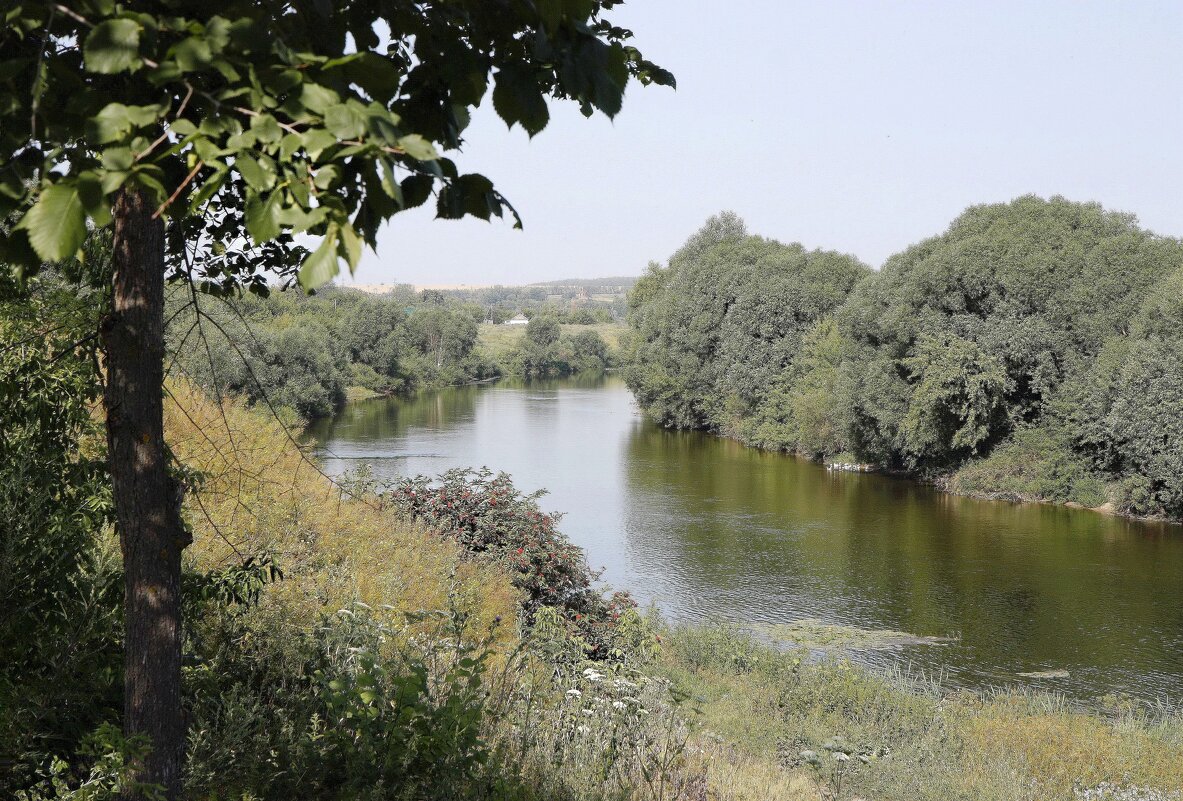 На Дону - ZNatasha -