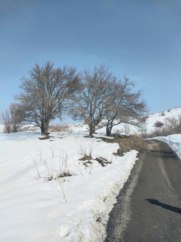 Ak Bulak.  Talgar. - Murat Bukaev 