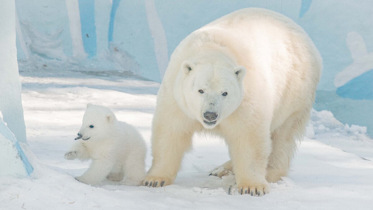 Герда с малышом. - Аркадий Лаптенко
