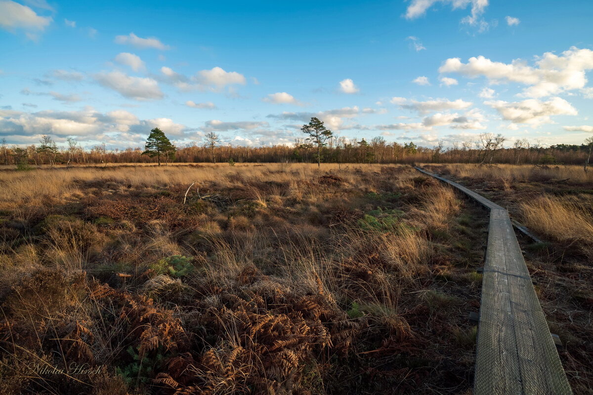 По тропе... - Николай Гирш