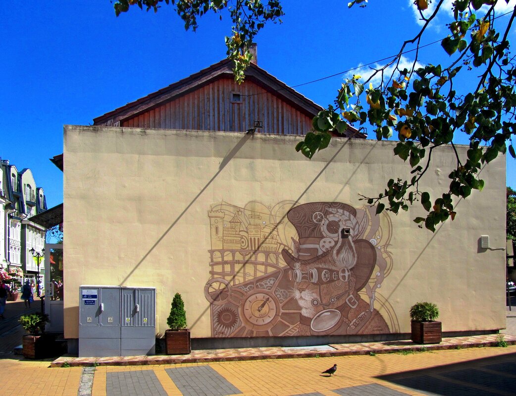 Зеленоградский кот - Сергей Карачин