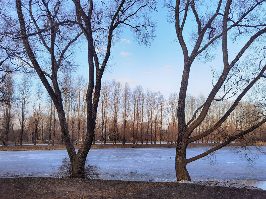 Весенние зарисовки. Весна в парке Победы. - Лилия *