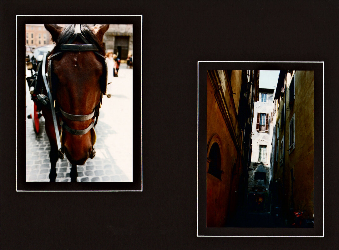 Рим, город и люди - 67 - Алексей Кузнецов