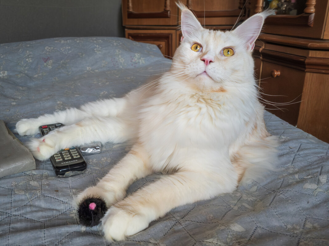 Эльза. - Борис Калитенко