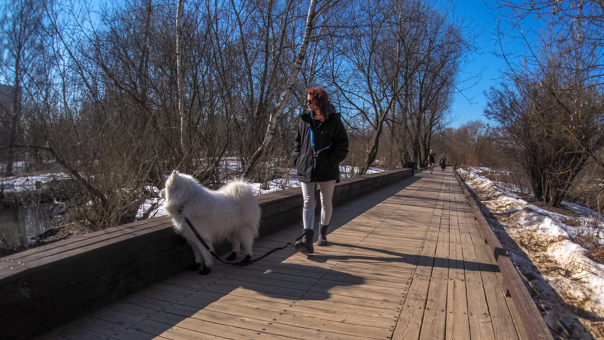 Пргулки в Весеннем Парке - юрий поляков