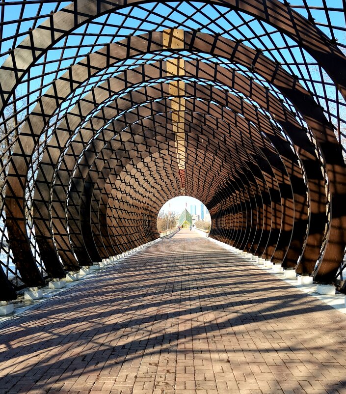 Мост и тени. - Любимова Ольга 