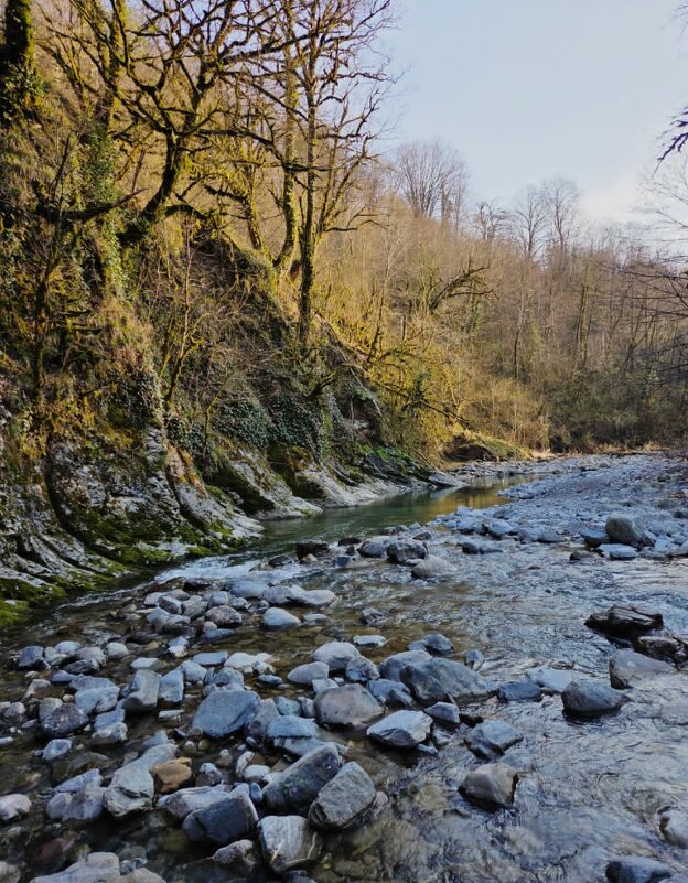 СОЛОХ АУЛ. МАРТ - Tata Wolf