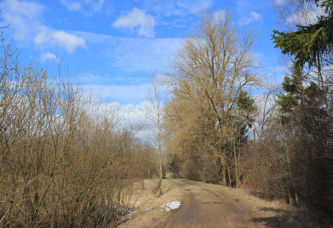Воспоминание о зиме... - Наталья Лунева 
