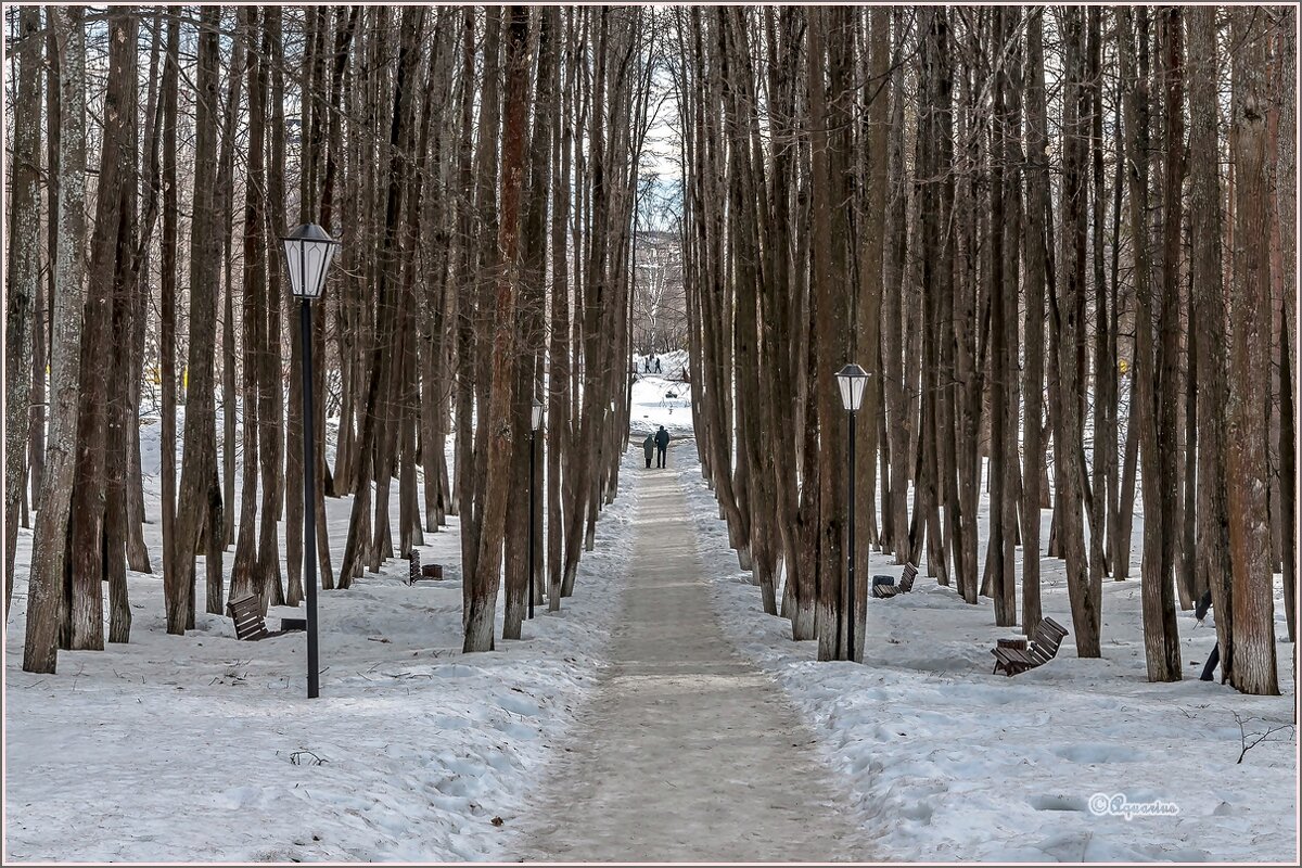 Март... - Aquarius - Сергей