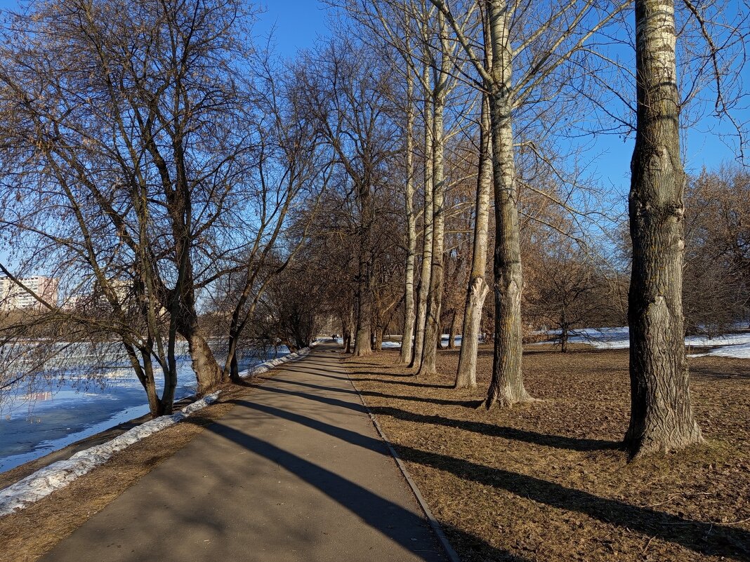 На обитаемом острове - Андрей Лукьянов На обитаемом острове - Андрей Лукьянов