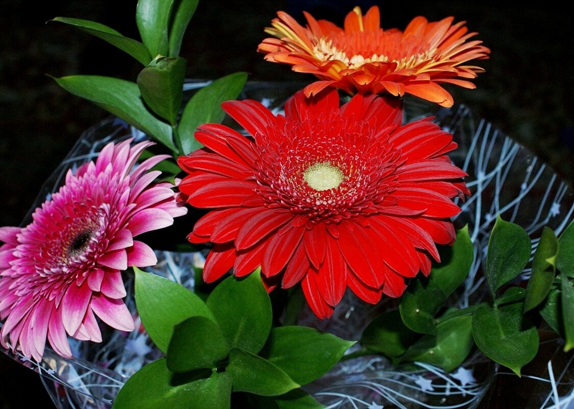 Поздравляю Валерия Ивановича с Юбилеем! - Галина Нестратова Поздравляю Валерия Ивановича с Юбилеем! - Галина Нестратова