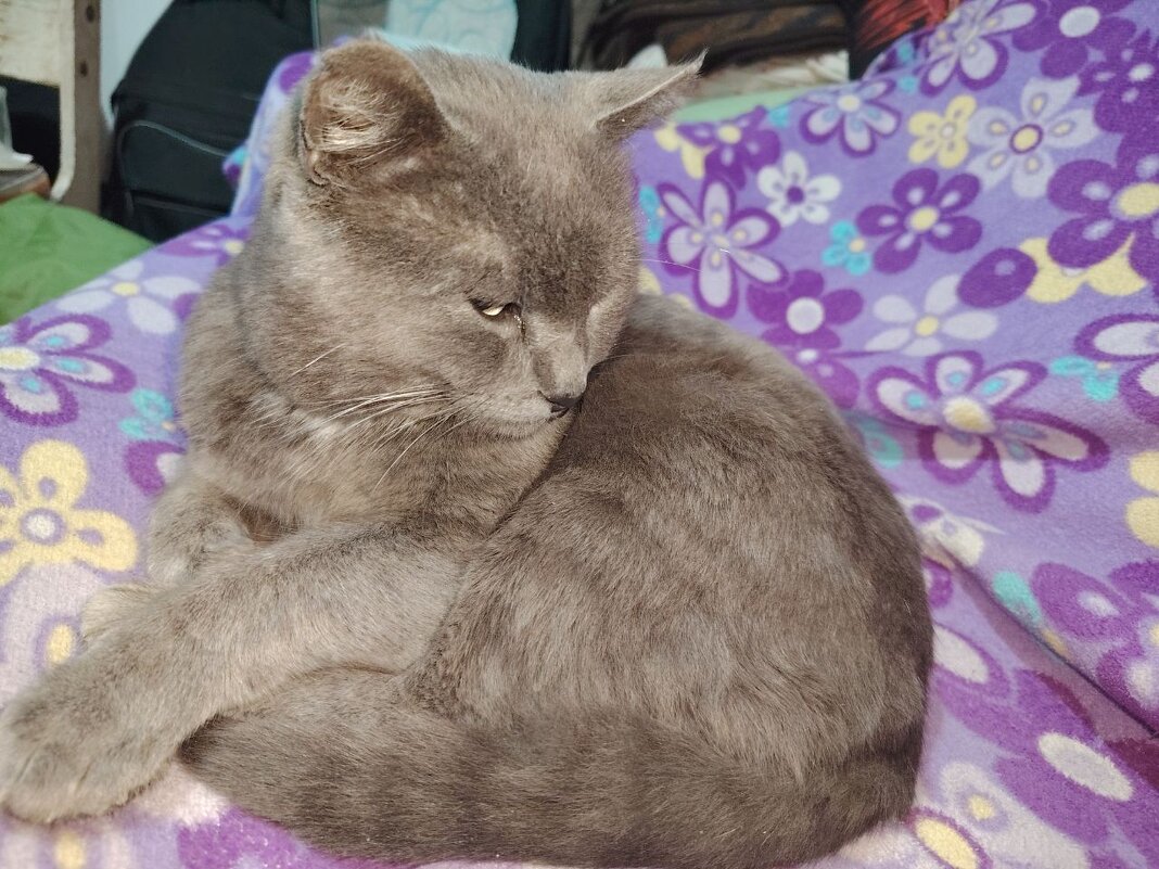 Дымок - Наталья (ShadeNataly) Мельник