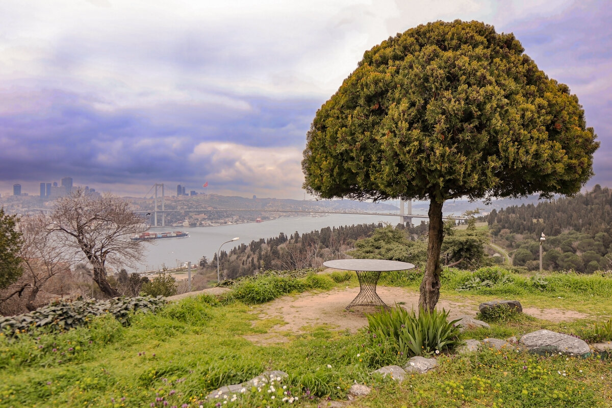 Вид на Босфор - skijumper Иванов