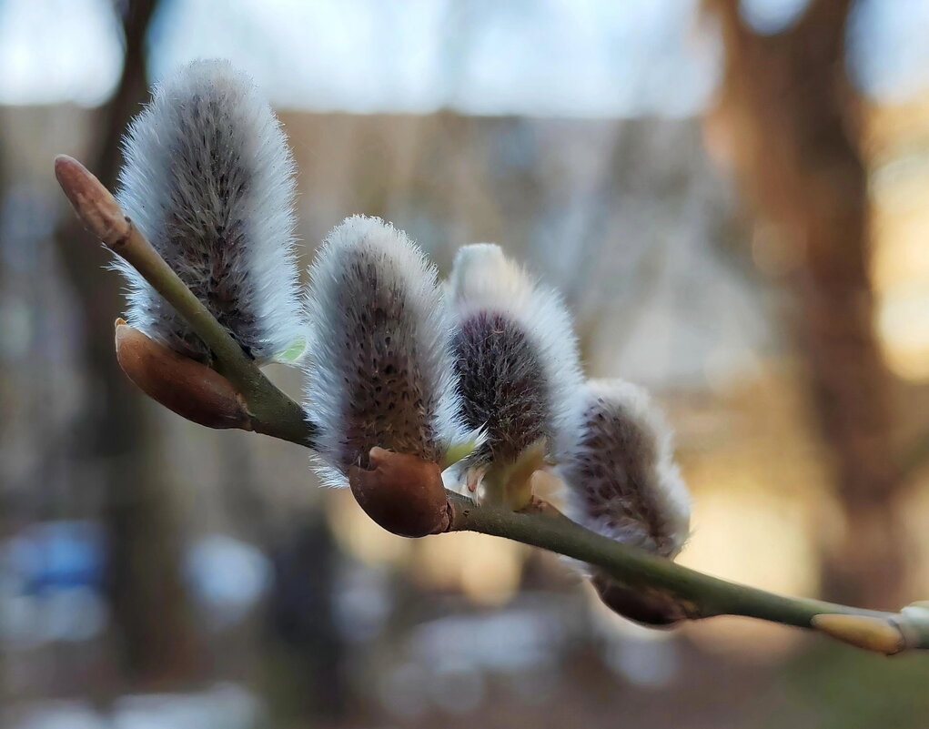 ВЧЕРА БЫЛА ЗИМА - Юрий Вовк