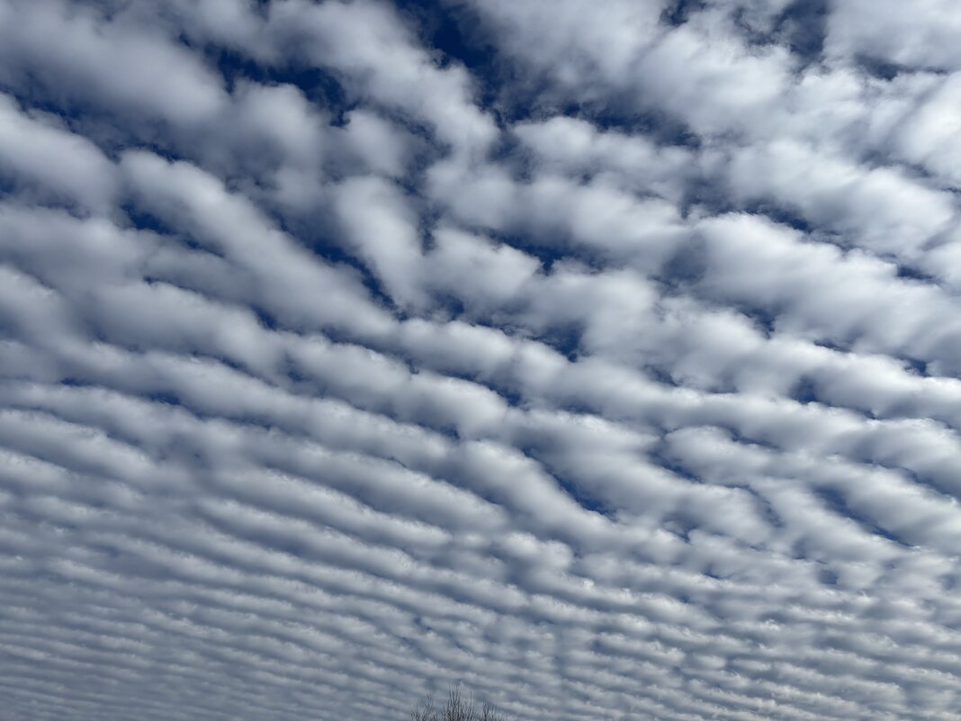 Облака - Ольга Савельева 