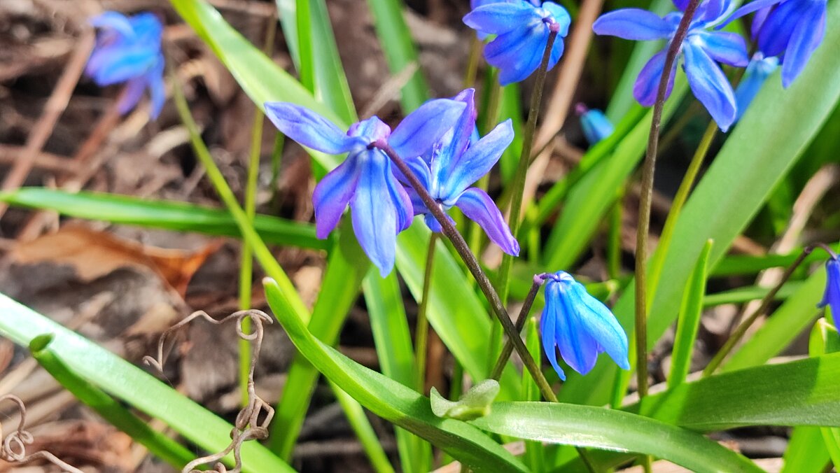 ,,, - Сергей Тимоновский