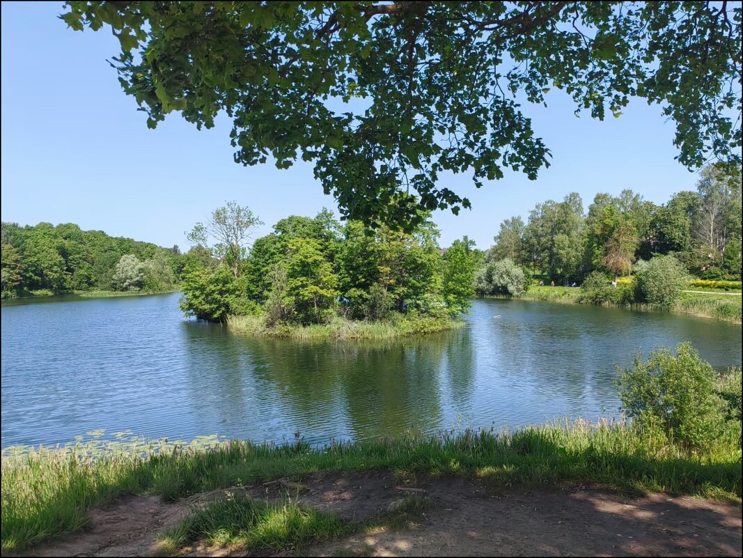 Гатчина! - Надежда 