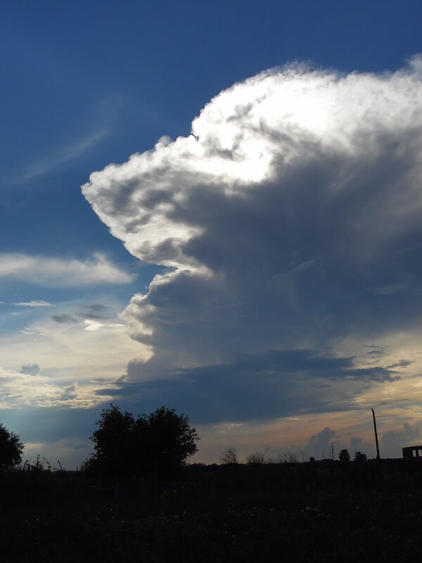 Собака в небе. - nadyasilyuk Вознюк