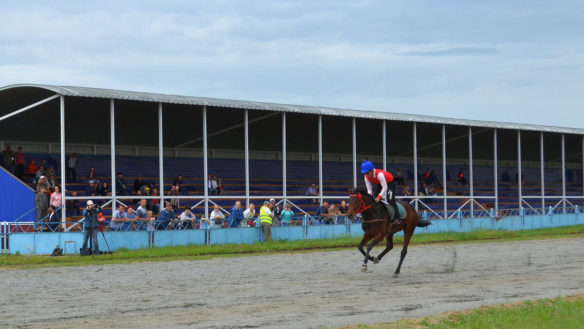 На ипподроме - Мишель71 