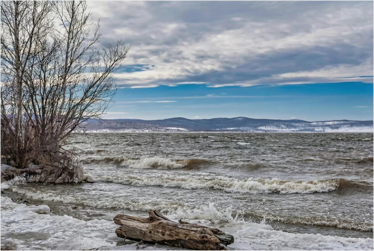 **** - Алексей Мезенцев