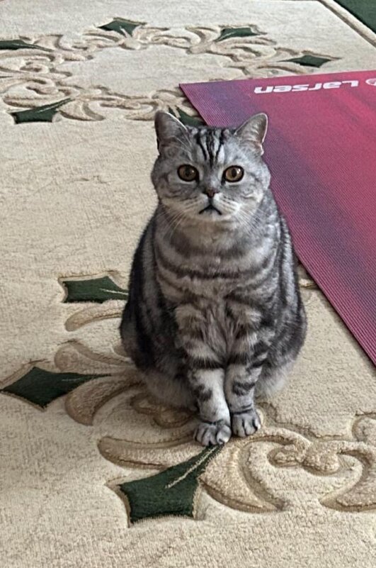 Мой дом - Венера Чуйкова