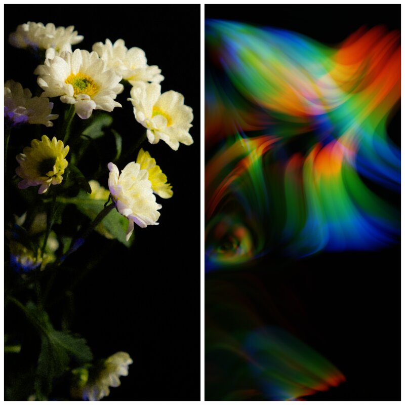 Цветочек и его душа - Илья Шенгелия