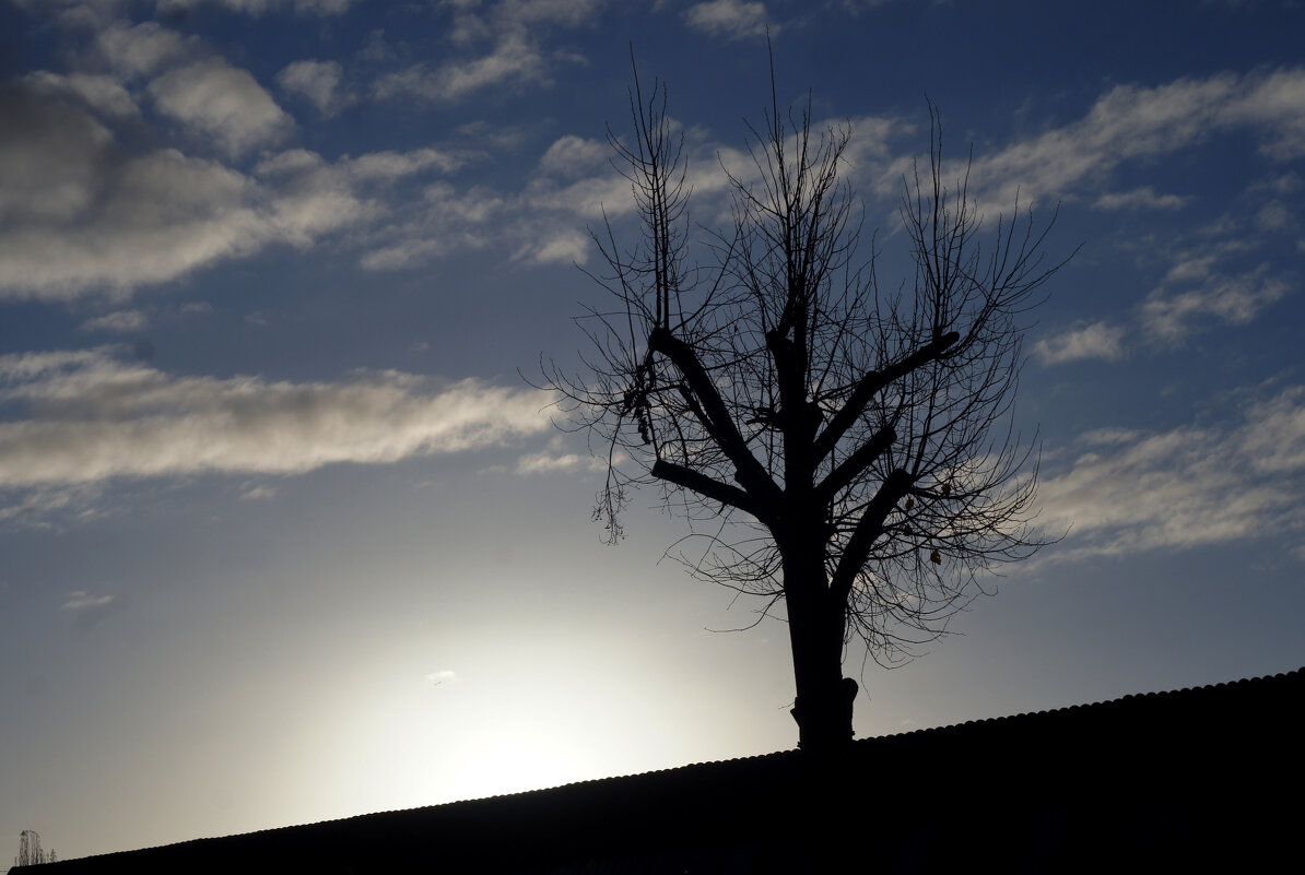 На рассвете - Сергей Порфирьев На рассвете - Сергей Порфирьев