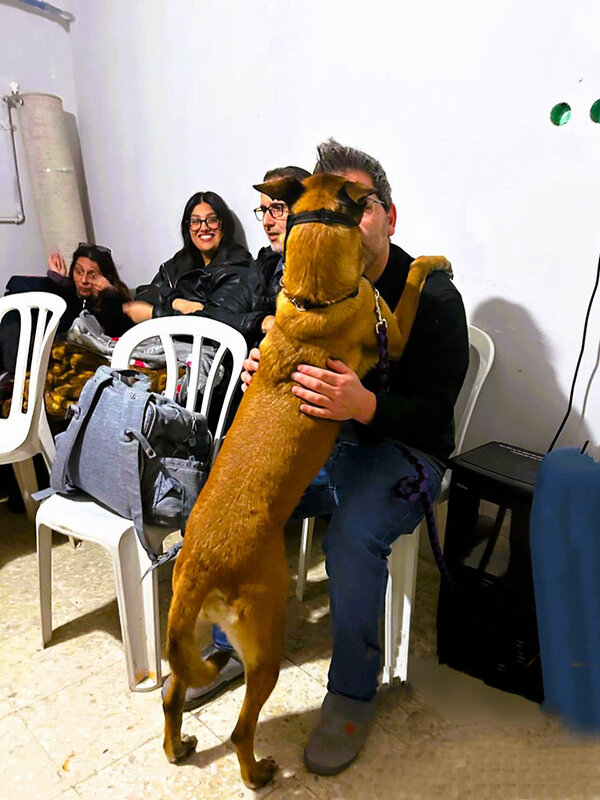 РАЗГОВОР   ТЕТ - А - ТЕТ - Анатолий Малобродский