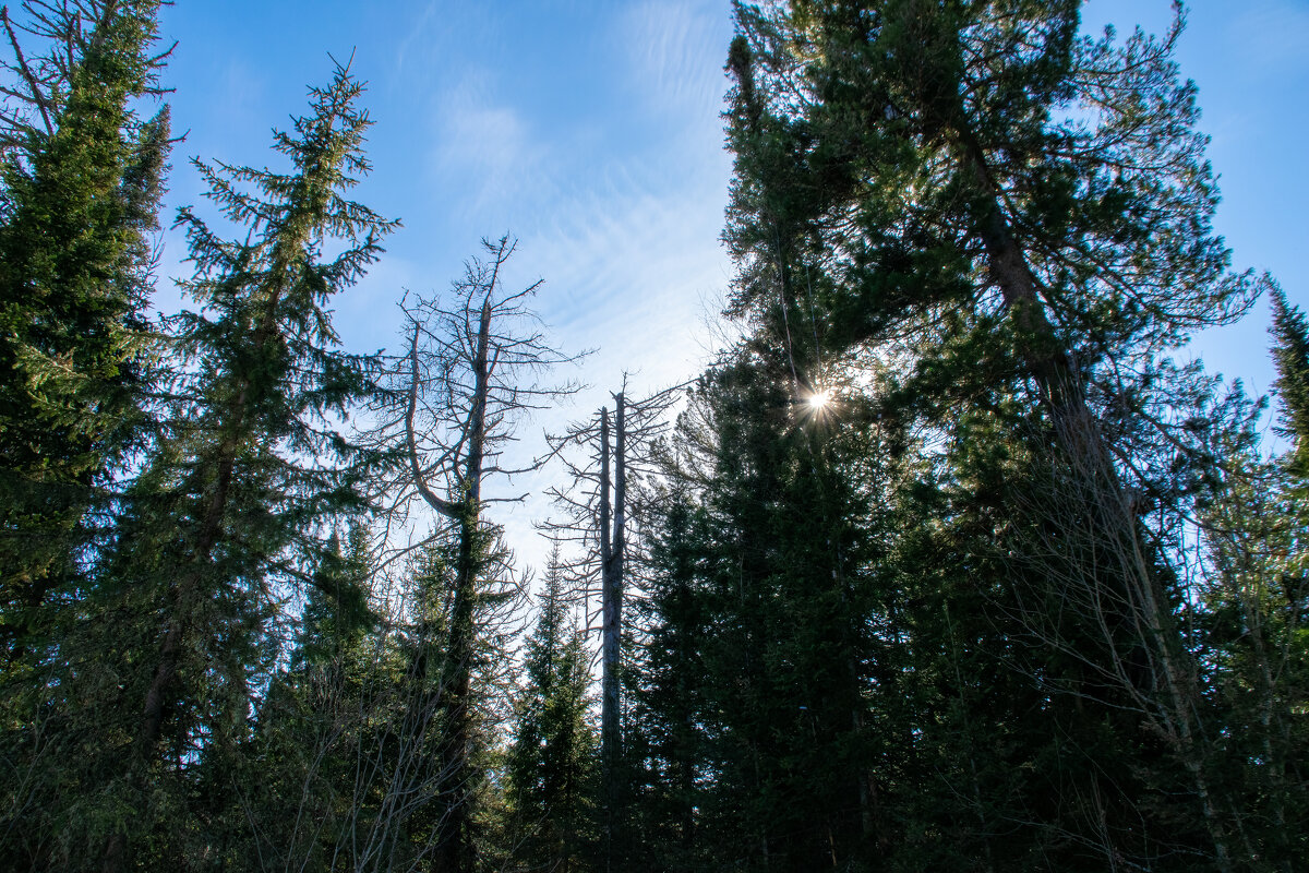 - - Владимир Мигонькин