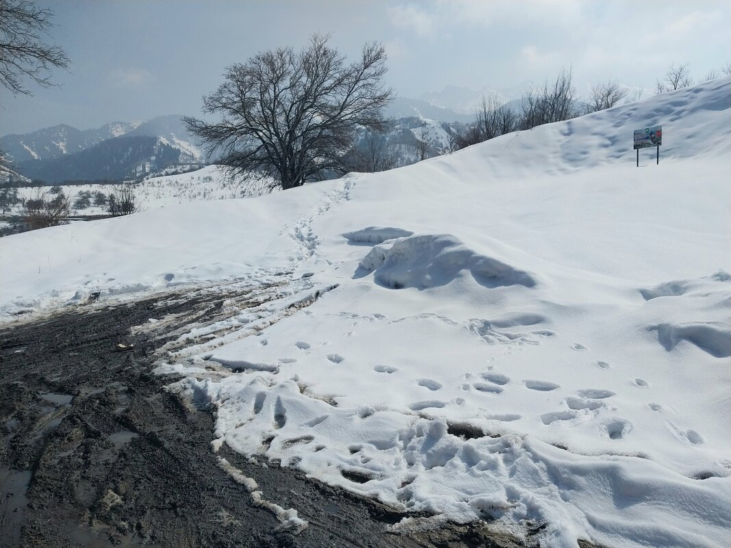 Talgar. - Murat Bukaev Talgar. - Murat Bukaev