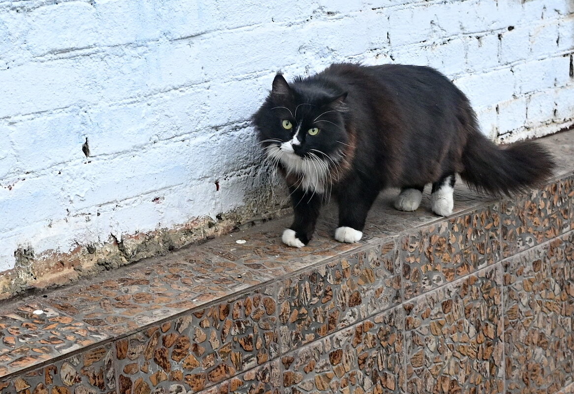 Живу я тут... - Николай Саржанов